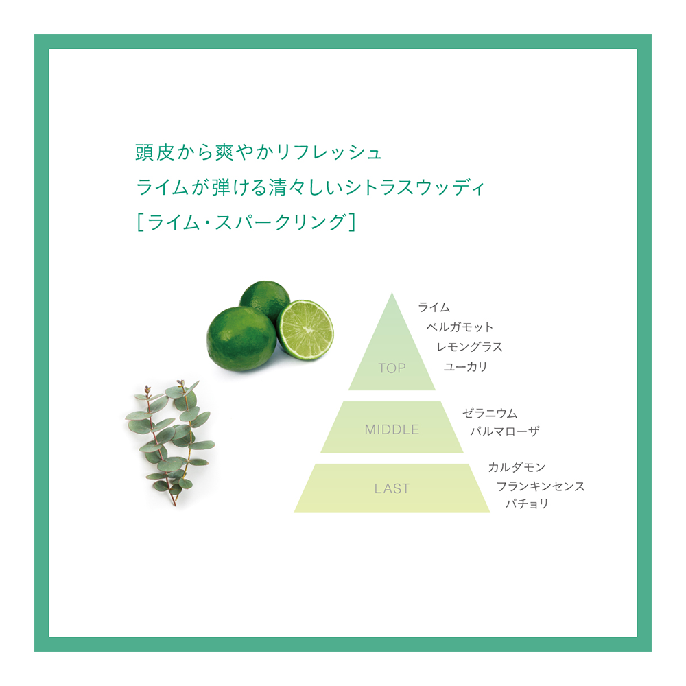 A&Lドライシャンプー（アロエ&ライム）80mL