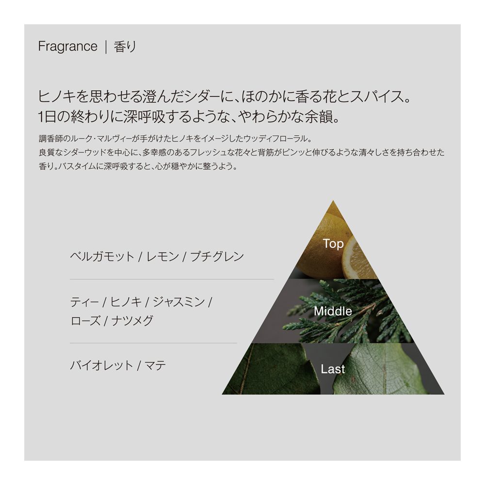 【WEB限定】ボンドレイヤー スターターセット（ヘアマスクサンプル2枚プレゼント）